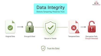 1.2 Why Encryption Matters In Cybersecurity.mp4